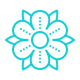 icons8flower80_awnde_80